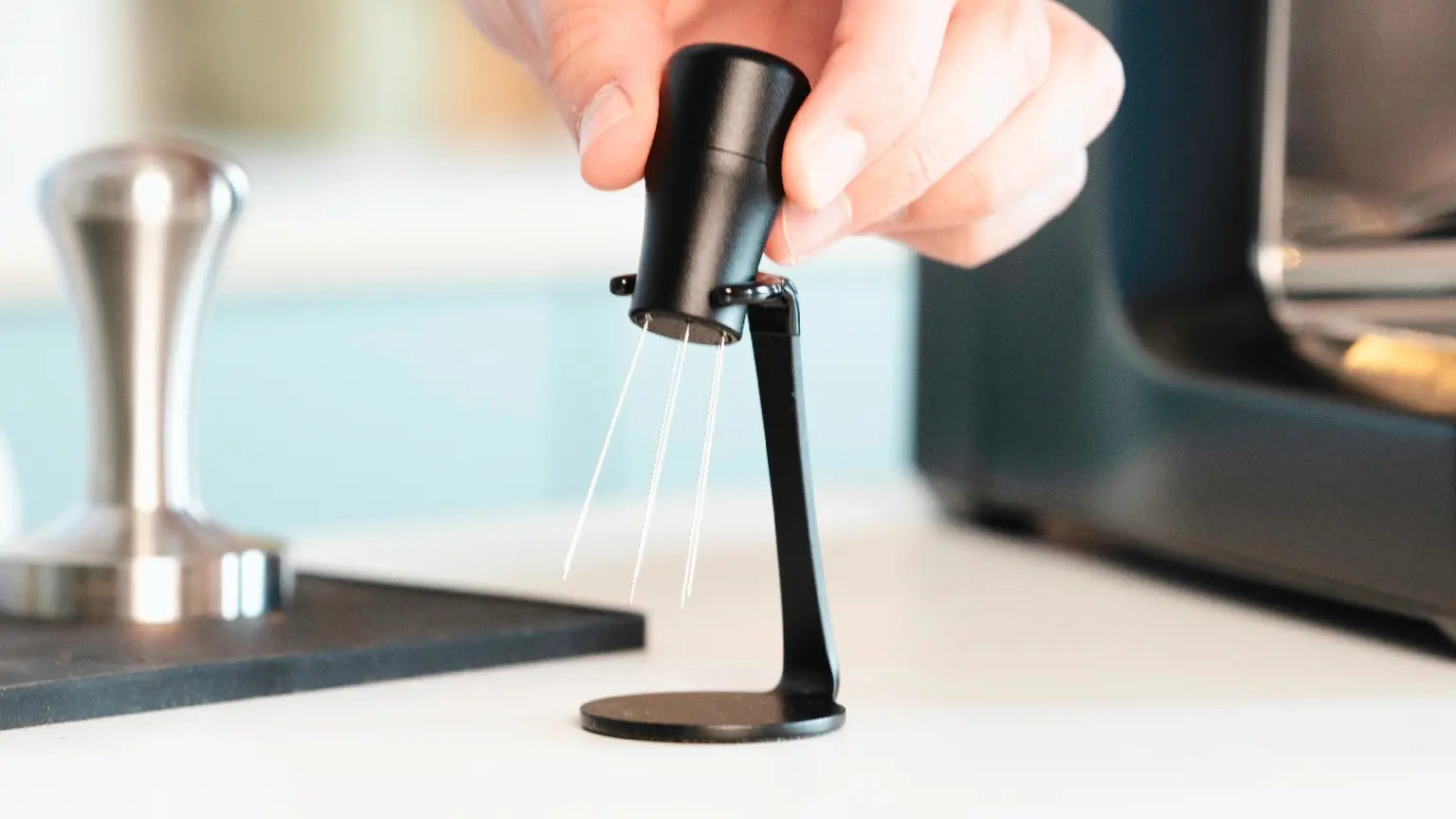 Alles wat je wilt weten over de WDT-tool