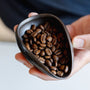 Vochtige koffiebonen en Coffee tray na gebruik RDT spray bottle van Barista-Essentials