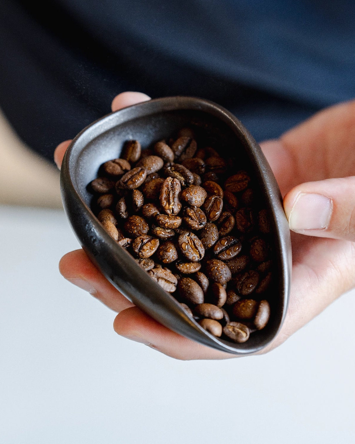 Vochtige koffiebonen en Coffee tray na gebruik RDT spray bottle van Barista-Essentials